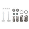 TB Valve kit - Honda V2 Race head 3 TB Valve kit - Honda V2 Race head
