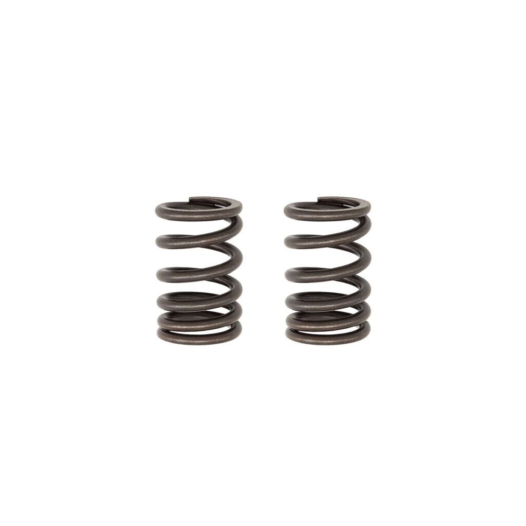 TB Valve springs, HD - KLX140