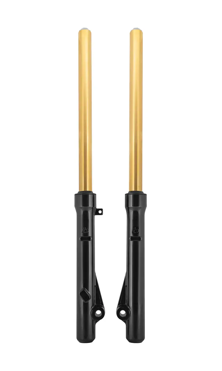 TB Fork Assembly Set, Extended, HD springs & Gold TiN Coated uppers – CRF110 1 TB Fork Assembly Set, Extended, HD springs & Gold TiN Coated uppers – CRF110