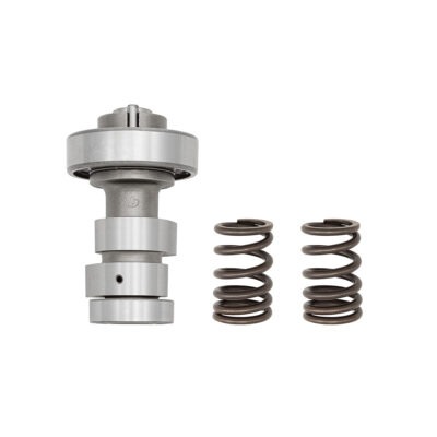 Performance cam and Valve Springs - KLX140