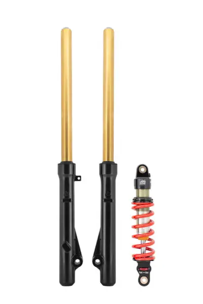 TB Forks, HD springs w/Gold TiN Coated uppers, & 250# DNM Shock kit – CRF110